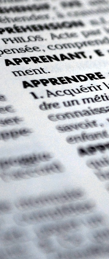 Palabra aprende en el diccionario